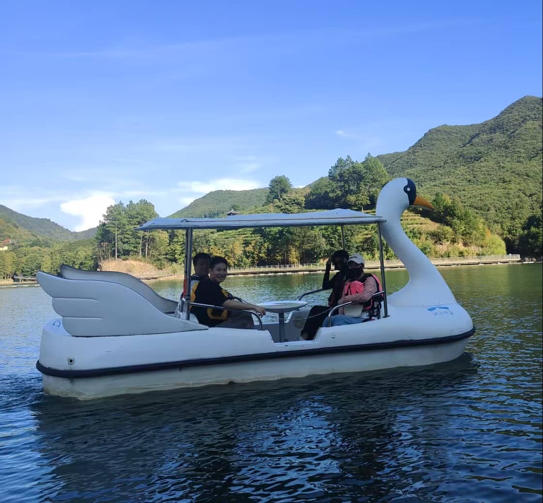 swan shaped boats-PairGears Team Day