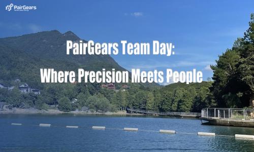 PairGears Team Day: Where Precision Meets People