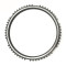 OEM 1296304135 Synchronizer Ring for ZF Gearbox-PairGears