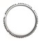 OEM 1296304135 Synchronizer Ring for ZF Gearbox-PairGears