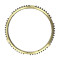 OEM 1307304181 Synchronizer Ring for ZF Gearbox-PairGears
