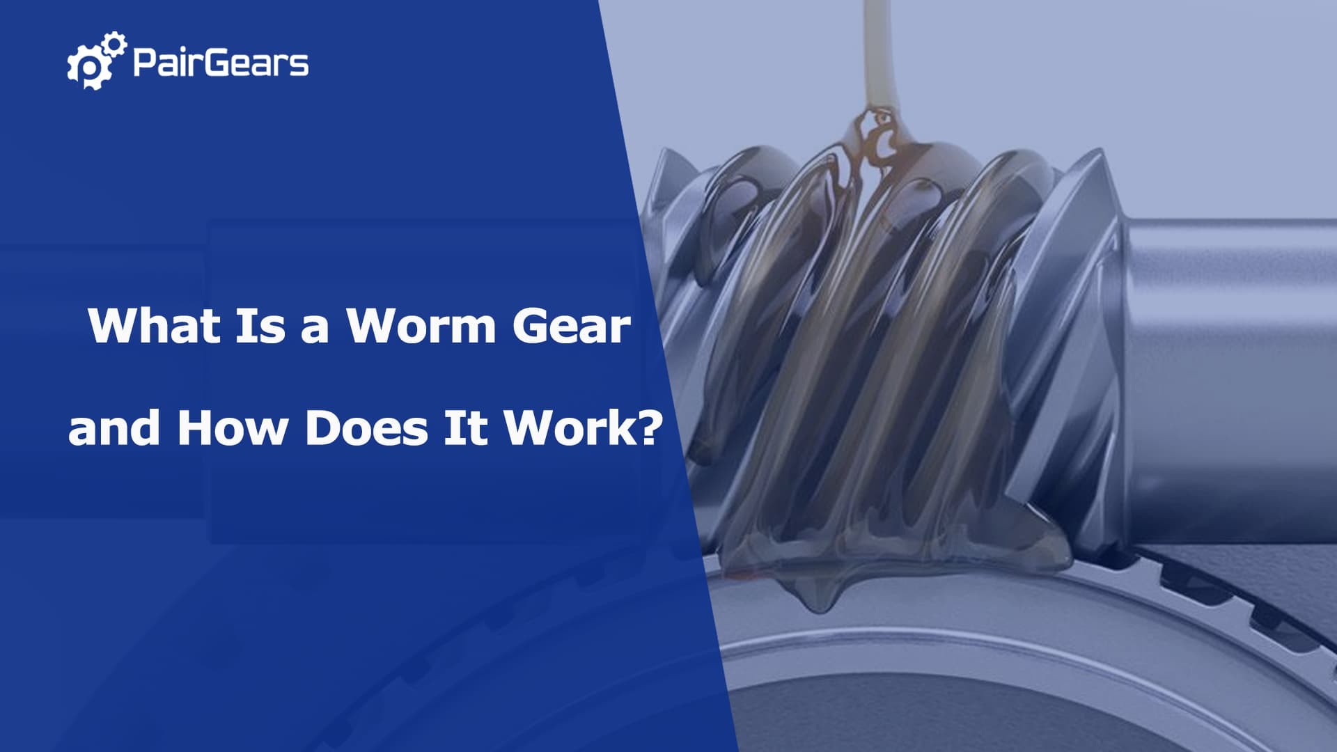 What Is a Worm Gear and How Does It Work?