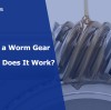 What Is a Worm Gear and How Does It Work?