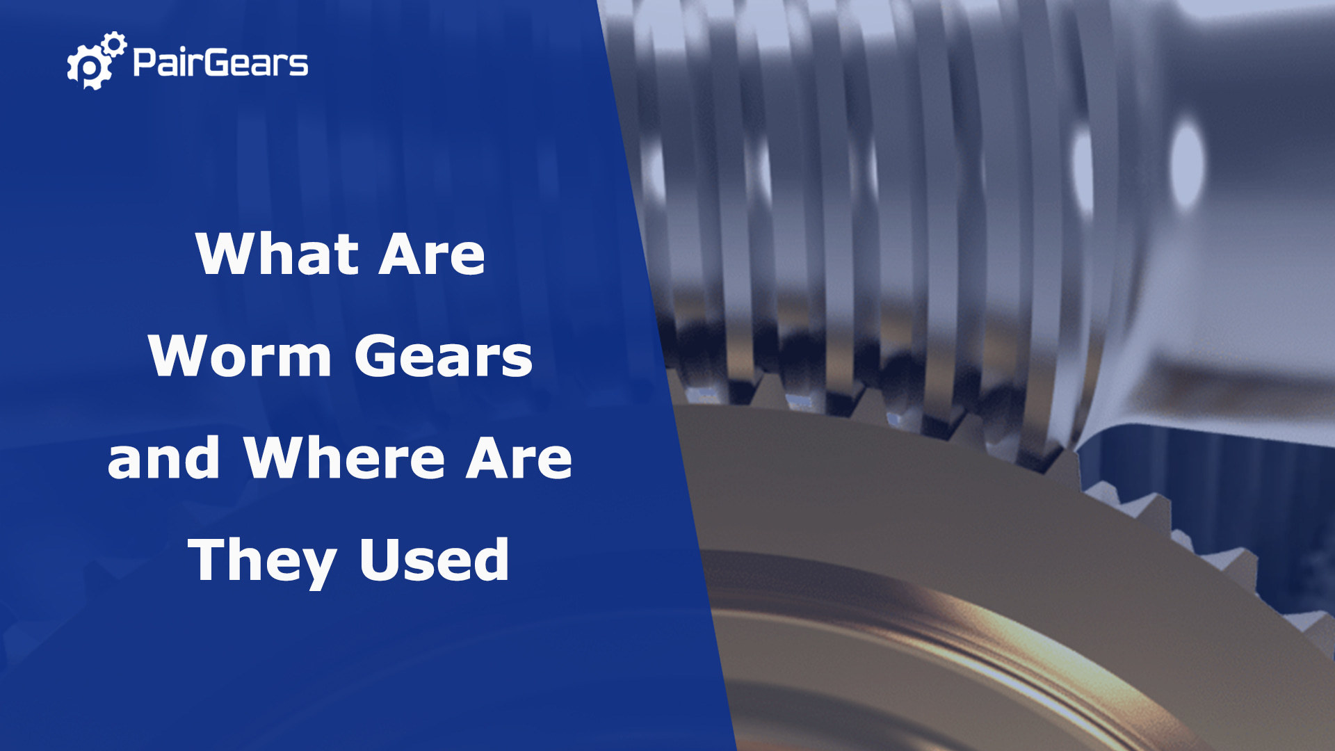 What Are Worm Gears and Where Are They Used
