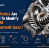 What Photos Are Needed to Identify an OEM Replacement Gear?