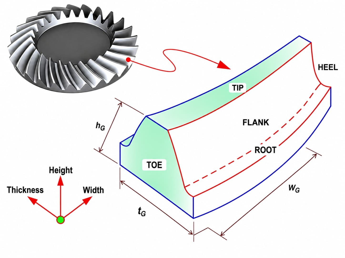 bevel gear contact-pattern diagram