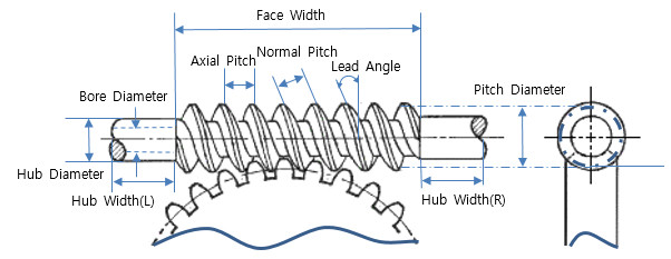 worm gear