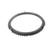 OEM 1316304173 Synchronizer Ring for ZF Gearbox-PairGears