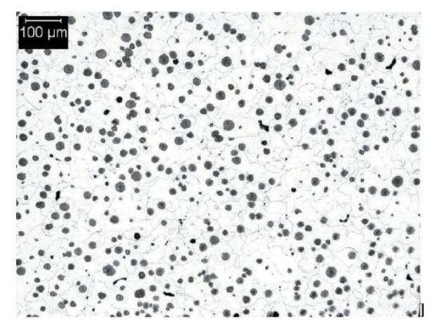 D400 Typical Matrix Microstructures