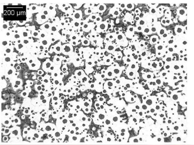 D450 Typische Matrix-Mikrostrukturen