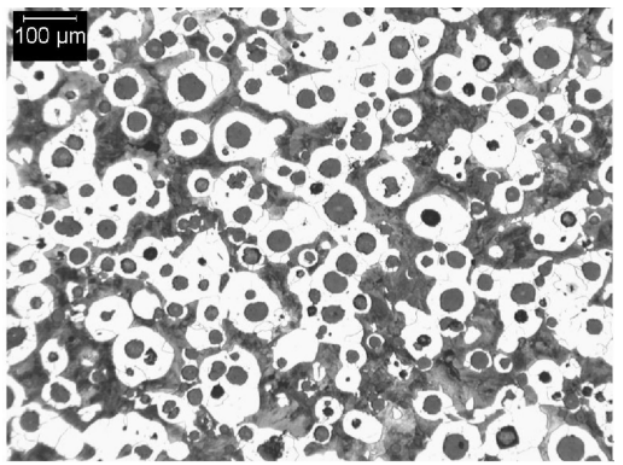 D500 Typical Matrix Microstructures