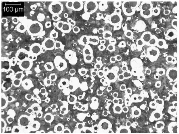 D550 Typical Matrix Microstructures