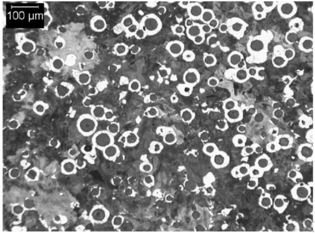 D700 Typical Matrix Microstructures