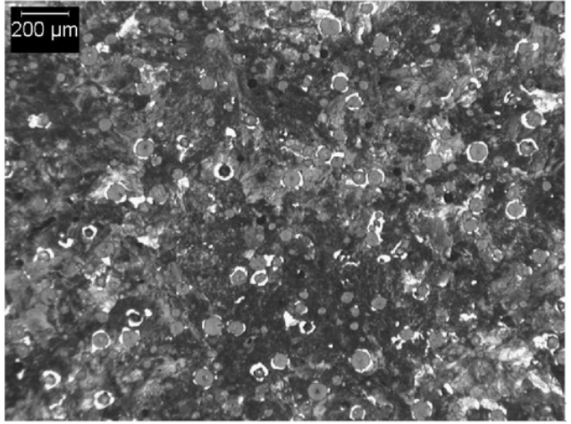 D800 Typical Matrix Microstructures