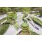 Custom Design Bird's Nest Parent-child Playground |  Outdoor Play Tower