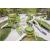 Custom Design Bird's Nest Parent-child Playground | Outdoor Play Tower
