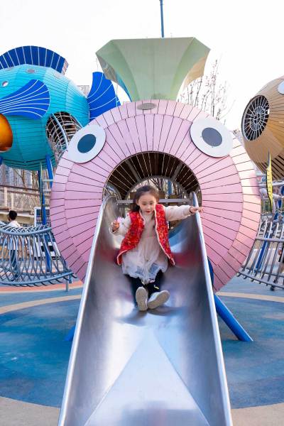 Bubble Fish Play Systems | Stainless Steel Slide | Animal-Shaped Play Equipment | Outdoor Playground Sets | Custom Design