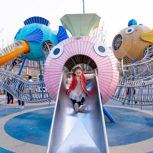 Bubble fish for nature playground equipment | Animal equipmen | Amusement equipment customizable