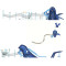 Seal Play Systems | Stainless Steel Slide | Animal-Shaped Play Equipment | Outdoor Playground Sets |  Custom Design