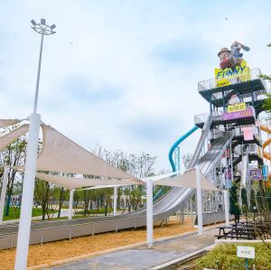 Toffy and Friends Tower Slides | Stainless Steel Slide | Outdoor Playground Sets | Theme Park | Custom Design