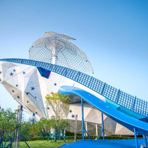 Giant Whale Play Systems | Stainless Steel Slide | Animal-Shaped Play Equipment | Outdoor Playground Sets | Theme Park | Custom Design