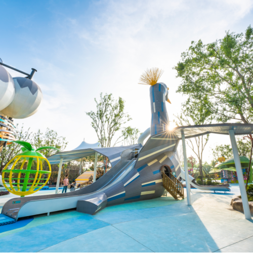 Grey Crowned Crane  Animal-Shaped Play Equipment | Outdoor Playground Sets |  Custom Design Play Tower