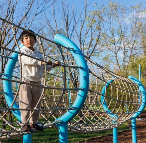 Forest Fun Path Play Structure |  Custom Design Outdoor Adventure Playground | Rope Net