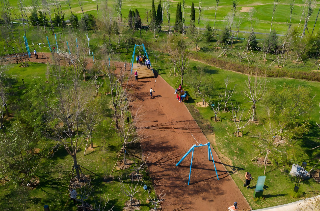 Treetop Nets Trampoline