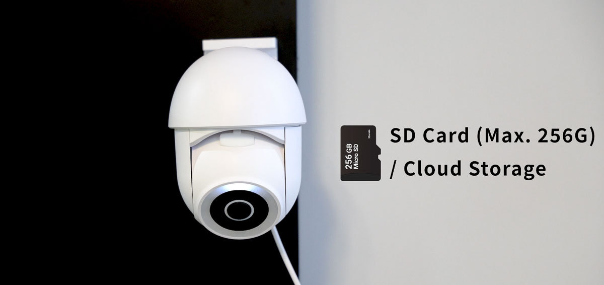 SD card or cloud camera