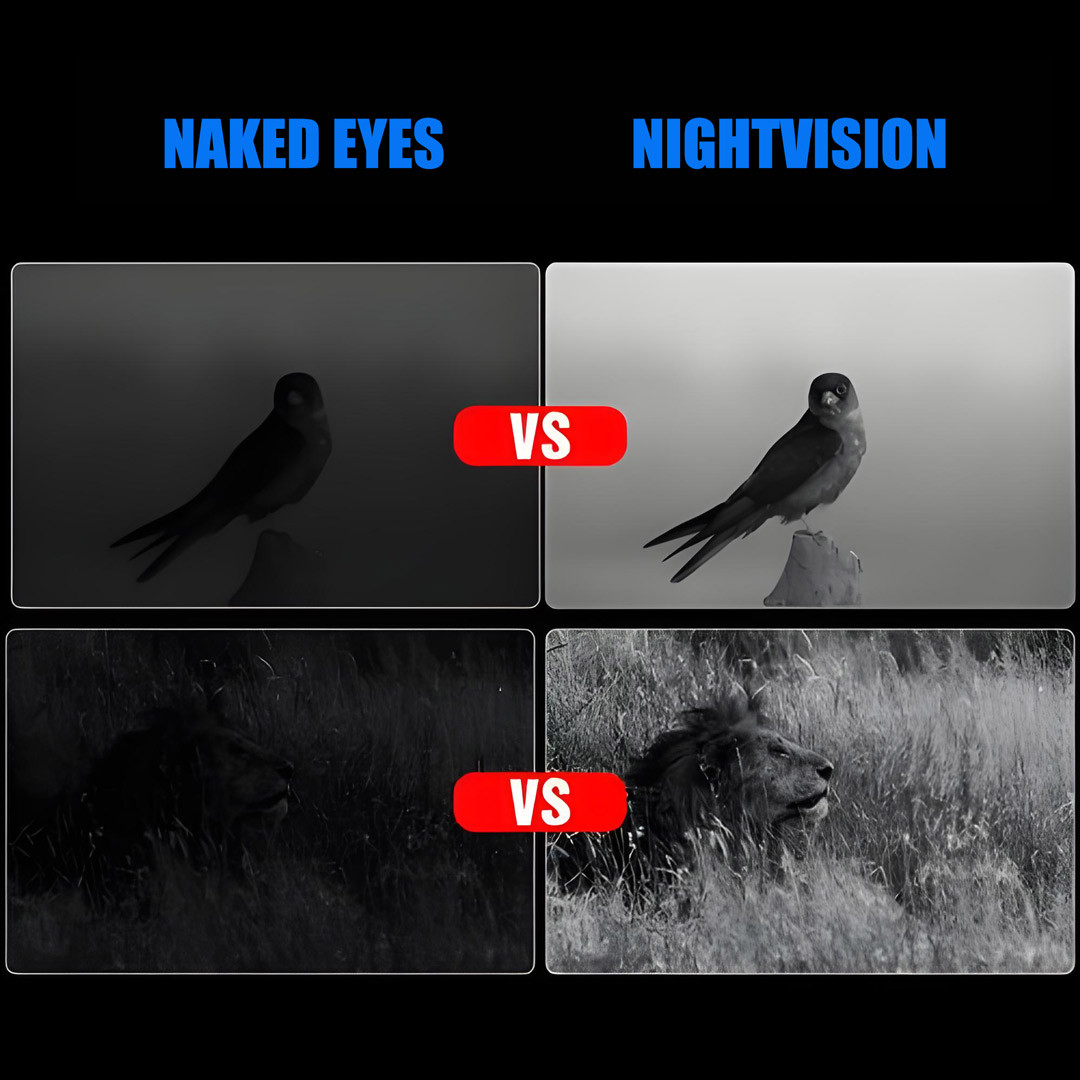 naked eyes vs nightvision
