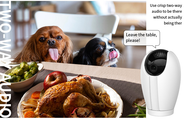 smart home wireless ptz camera with two-way voice interaction