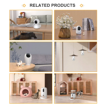 How do you view the market trends and development of home security monitoring?