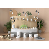 private mold smart pet feeder Tuya WiFi Smart Pet Water Fountain Wholesale