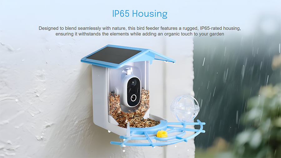Night Vision Bird Feeder Camera