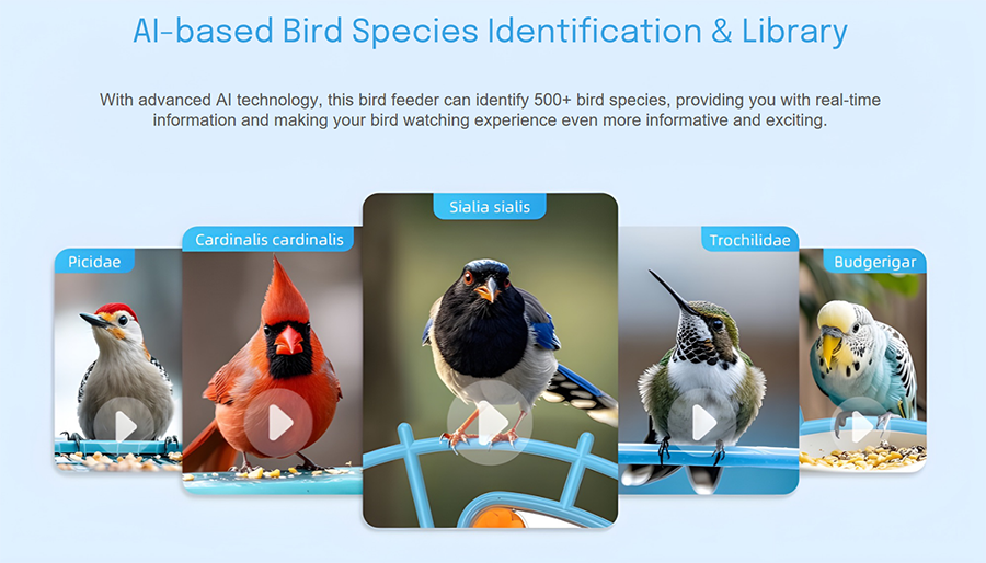 4MP HD Bird Feeder Camera