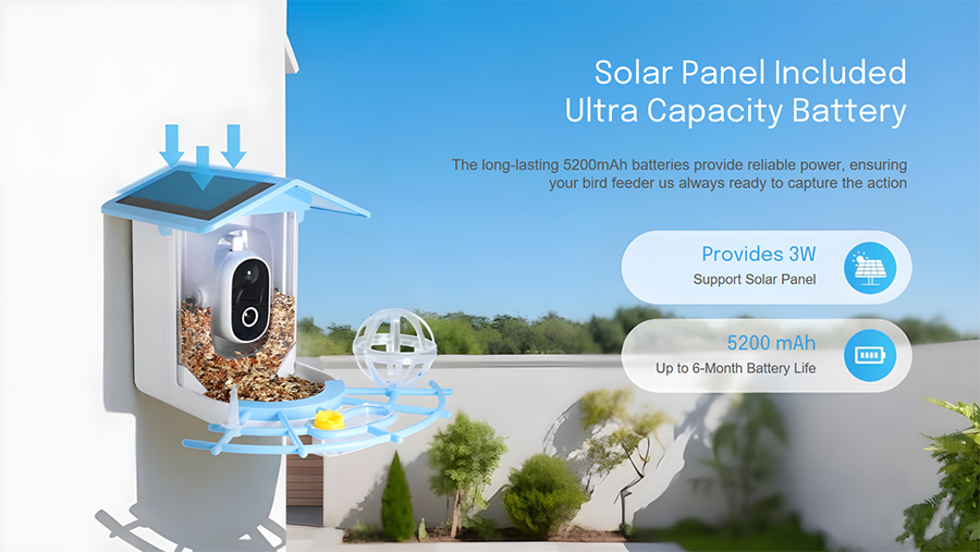 Wireless Bird Feeder Camera