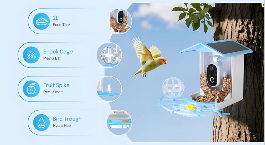 Outdoor Bird Feeder Camera