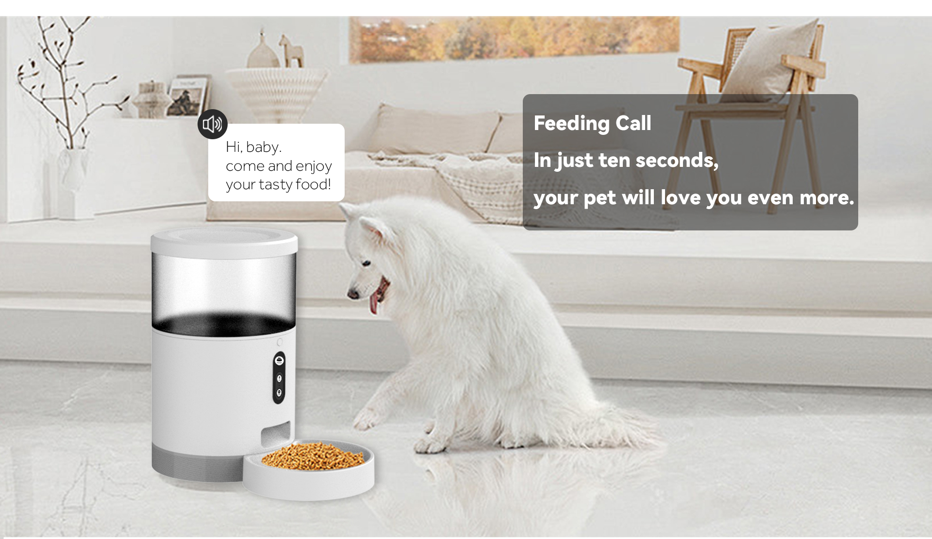 smart pet feeder