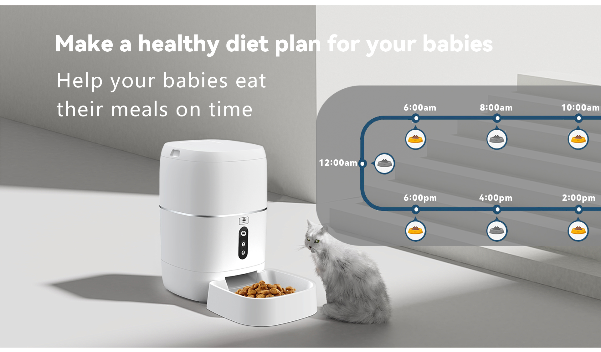 pet feeder automatic