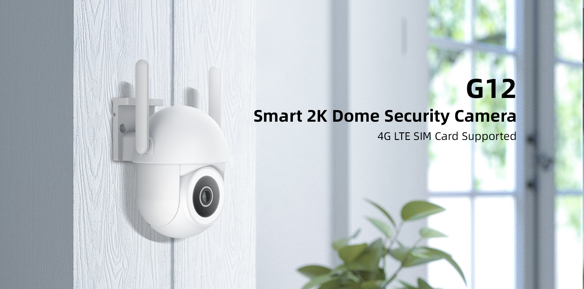 network camera