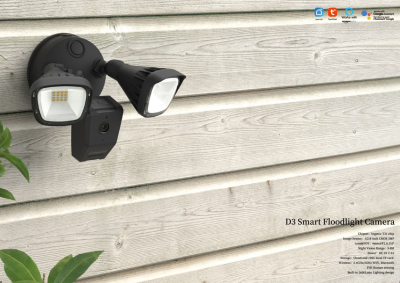 Floodlight  Camera