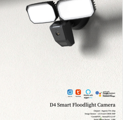 D4 Floodlight   camera