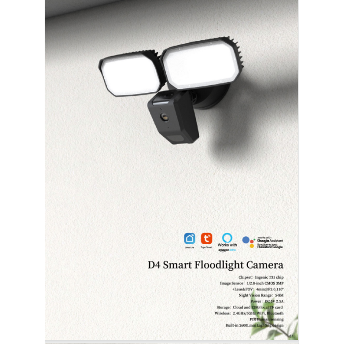 D4 Floodlight   camera