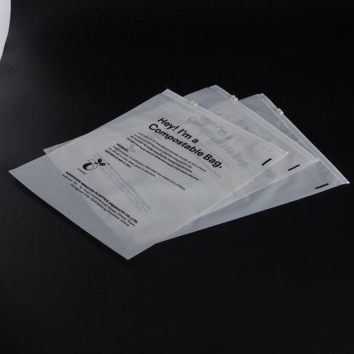 Zip Lock Bag Biodegradable Custom Printed Logo Clear Frosted Plastic Bag T Shirt Packaging Zipper Bags For Clothing