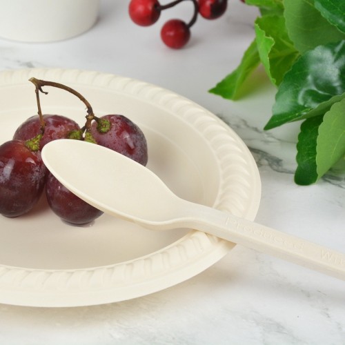 Biodegradable Cutlery and Spoons Dinner Takeout Compostable Disposable Cutlery Cornstarch Tableware