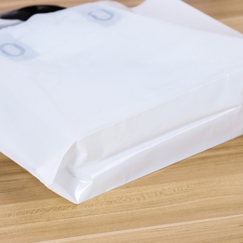 Biodegradable Packing Shopping Recycle Plastic Bags Custom Merchandise Die Cut Handle Bag Carrier Packaging Bags for Clothes