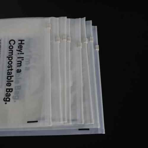 Zip Lock Bag Biodegradable Custom Printed Logo Clear Frosted Plastic Bag T Shirt Packaging Zipper Bags For Clothing