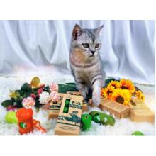 Product introduction | A tweet to understand the Center environmental series of pet products