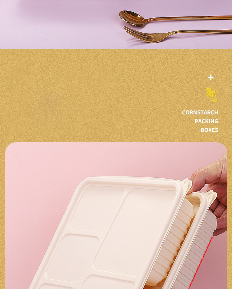 Anti-slip Design Biodegradable Lunch Box