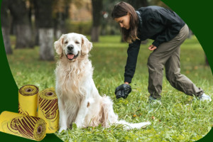 Mastering the Mess: The Ultimate Guide to the Best Durable and Leak-Proof Dog Poop Bags